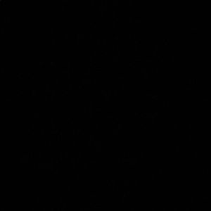 Meet your Posher, Brady